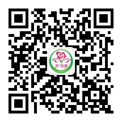 使用微信安装并打开二维码扫描工具,将手机摄像头对准网页上的二维码图片扫描即可。