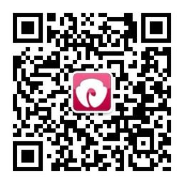 使用微信安装并打开二维码扫描工具,将手机摄像头对准网页上的二维码图片扫描即可。